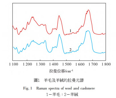 羊絨與羊毛纖維鑑別分析