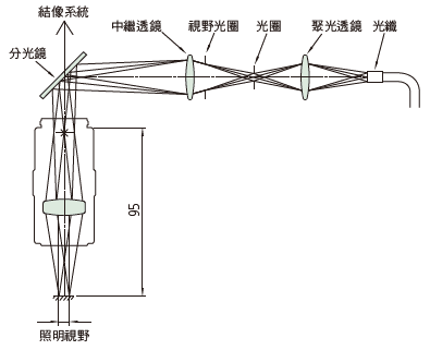 科勒照明(Koehler illumination)